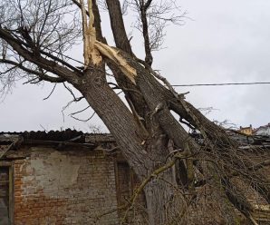 Усували наслідки погіршення погодних умов в м. Івано-Франківську