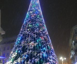 В Івано-Франківську урочисто відкрили головну ялинку міста.
