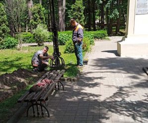 Заміна кабельних мереж в Парку ім. Тараса Шевченка