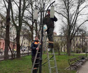 Продовжили роботи з обслуговування декоративних опор в центральній частині міста